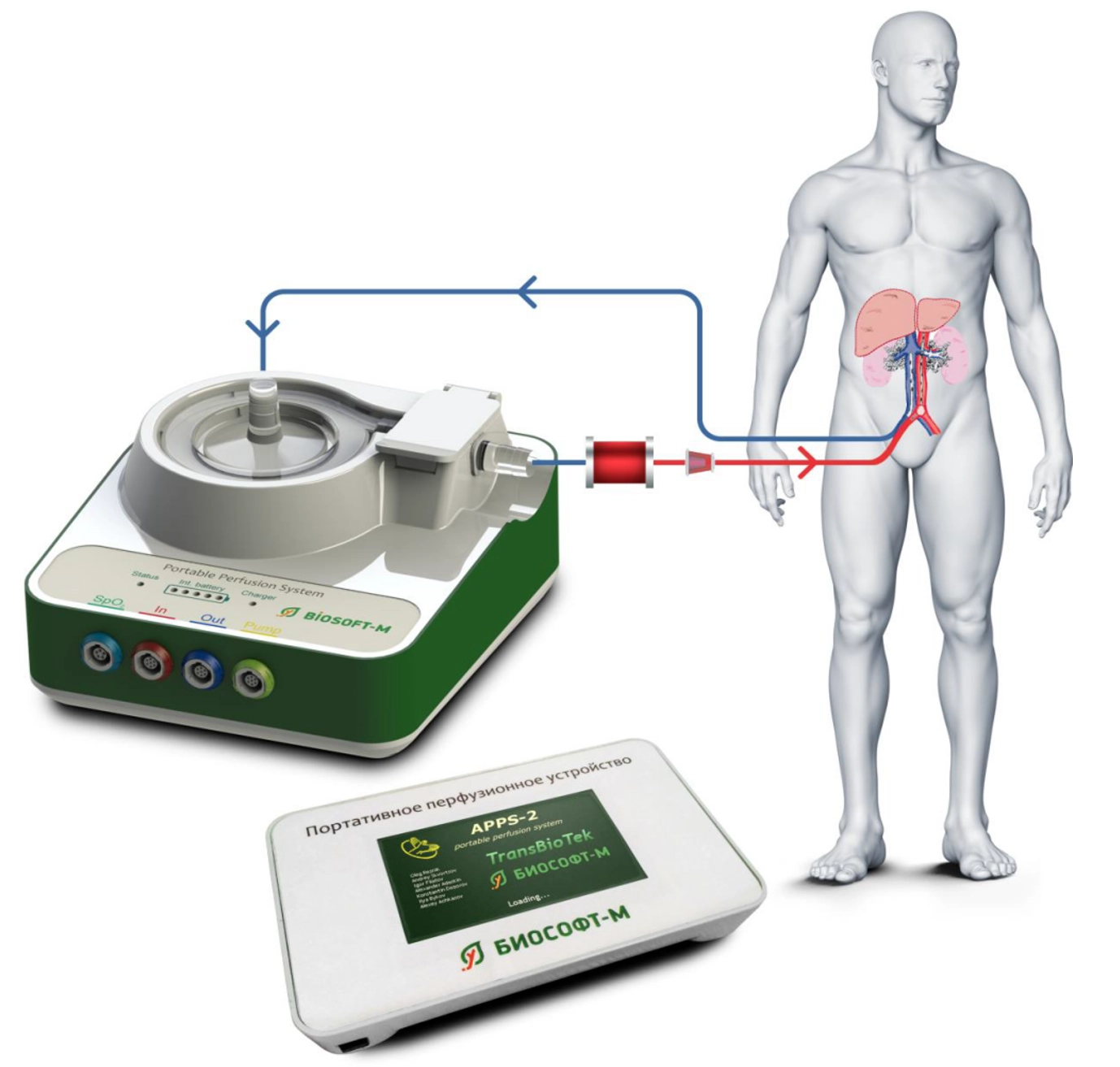 Портативное перфузионное устройство на базе центрифужного насоса крови